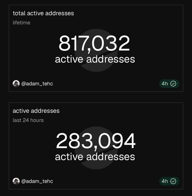 Two screenshots from @adam_tehc showing crypto statistics: 'total active addresses lifetime' at 817,032 and 'active addresses last 24 hours' at 283,094.