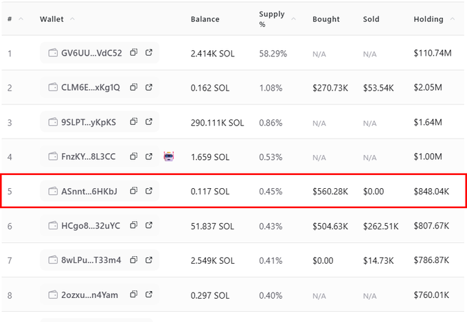 The image displays a top holders ranking table for the $ansem token, with the 5th ranked wallet "ASnnt...6HKbJ" highlighted in a red box, showing holdings of 848.04K with 0.117 SOL balance and 0.45% supply. This corresponds to the post highlighting a wallet that continued accumulating $ansem tokens despite others panic selling, with its holdings growing from 0.2418% to 0.4463% of total supply (approximately 4.46M tokens worth $715.9K), propelling it up the top holders rankings.