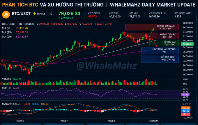BTC/USDT technical analysis chart from WhaleMahz Daily Market Update showing price at 79,026.34 with resistance and support zones marked in Vietnamese.