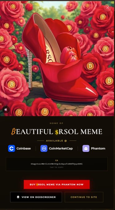 A webpage for 'BEAUTIFUL $RSOL MEME' featuring a high-heeled shoe made of red roses surrounded by Bitcoin coins, with availability listed on Coinbase, CoinMarketCap, and Phantom.