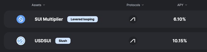 A dark-themed crypto dashboard showing protocol options including 'SUI Multiplier' (Levered looping, 6.10%) and 'USDSUI' (Slush, 10.15%) under Assets, Protocols, and APY columns.
