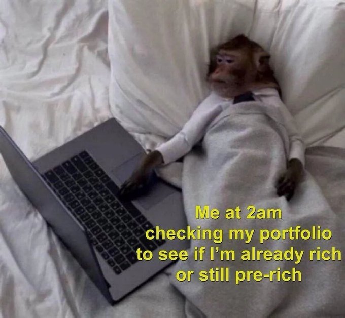 A meme with the caption "Me at 2am checking my portfolio to see if I'm already rich or still pre-rich," showing a small monkey in bed using a laptop.