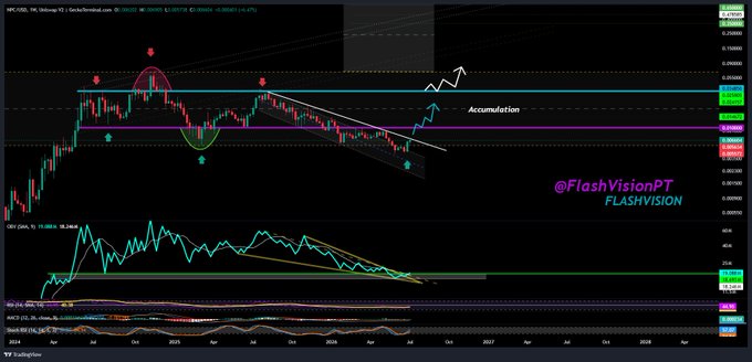 The image shows a weekly technical analysis chart of NPC/USD (NonPlayableCoin) featuring an accumulation phase annotation with a descending channel pattern, alongside RSI and MACD indicators at the bottom, watermarked by @FlashVisionPT/FLASHVISION.