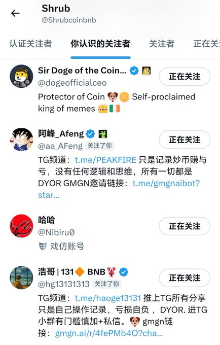 A screenshot of X (Twitter) showing @Shrubcoinbnb's "People you know" followers tab, which includes crypto influencers like @dogeofficalceo ("Sir Doge of the Coin"), @aa_Afeng, @Nibiru0, and @hg13131313—all marked as "正在关注" (Following). The image connects to the accompanying post about the Shrub coin narrative and its hype spilling into Musk-related on-chain meme activity.