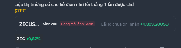 A screenshot of a Vietnamese cryptocurrency trading interface showing a question about ZEC shorting, with 'ZECUSDT' perpetual market showing an open short order and an unrealized loss of +4,809.20 USDT, while ZEC is up +0.82%.