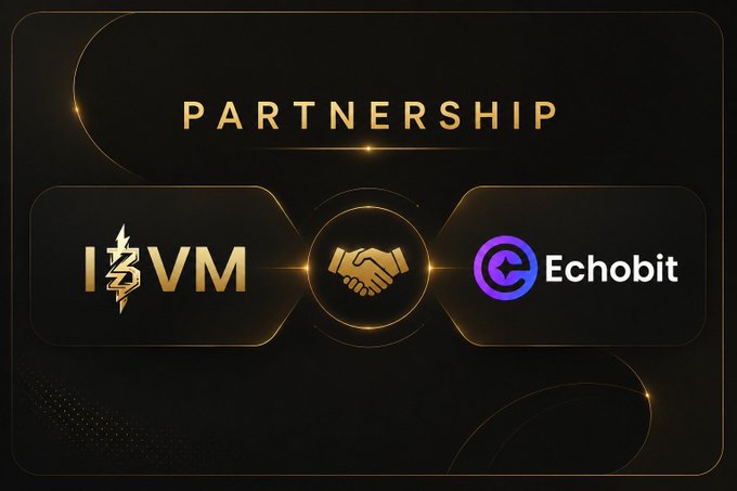 A dark-themed promotional graphic displaying a 'PARTNERSHIP' announcement between '13VM' and 'Echobit' logos, connected by a golden handshake icon.
