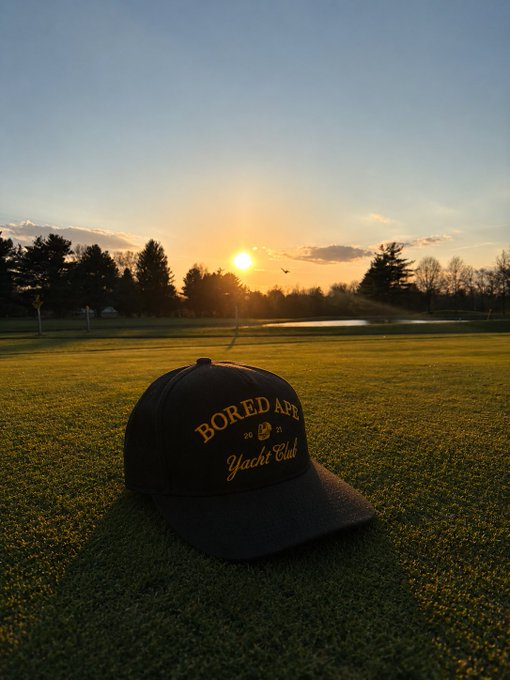 The image features a black baseball cap with gold lettering that reads "Bored Ape Yachts Club", laying on a grassy field with trees in the background. The text also says "I paid $500 for this Bored Ape Yacht Club".