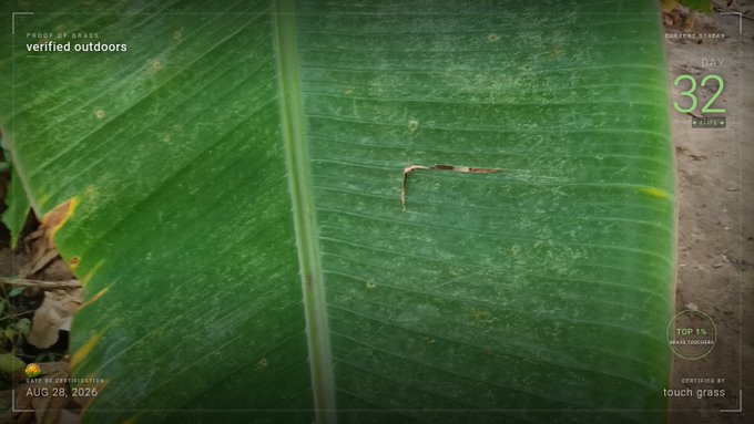A close-up of a large green leaf showing various interface elements, including 'PROOF OF STAKES verified outdoors', 'DAY 32 ALIVE', 'TOP 1%', 'leaf coin balance AUG 26, 2026', and 'CERTIFIED BY touch grass'.