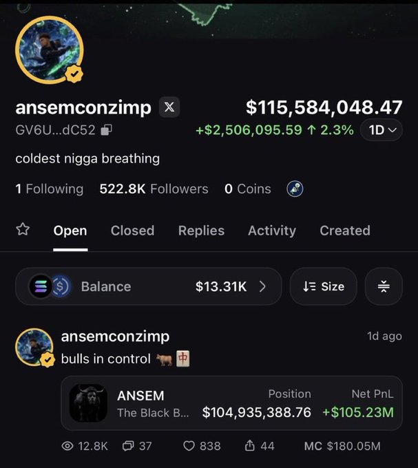 This image shows a crypto wallet with a total balance of over $115 million, with a significant portion of that from the "ANSEM" coin. The "ANSEM" position alone is valued at over $104 million and has a Net PnL of +$105.23M, directly supporting the claim of a memecoin boom.