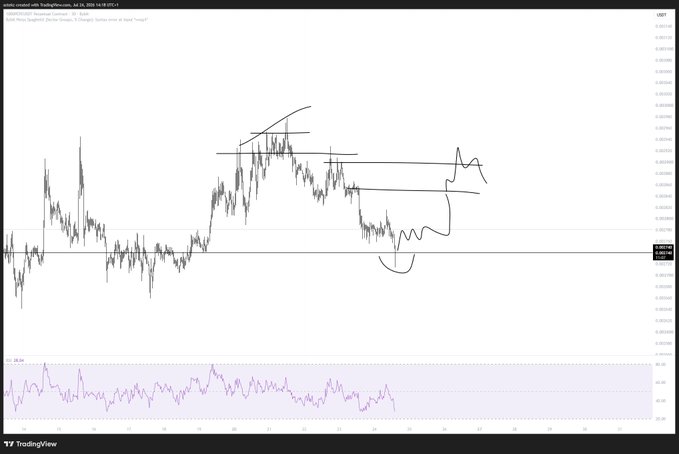 A TradingView chart of PEPE/USD on July 24, 2025, showing a potential bullish breakout setup with hand-drawn trendline channels, horizontal support/resistance levels around 0.00001250-0.00001400, and an RSI indicator below, illustrating the price action structure the trader is watching for a long entry.
