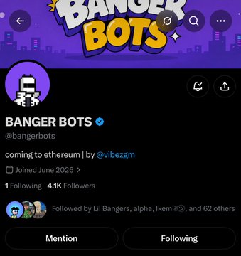 Twitter profile for 'BANGER BOTS' (@bangerbots) with the bio 'coming to ethereum | by @vibezgm', joined June 2025, following 1 account with 4.1K followers.