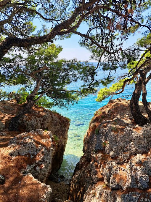 A scenic photograph of a rocky cove with clear turquoise water, framed by the overhanging branches of pine trees under a bright sky.
