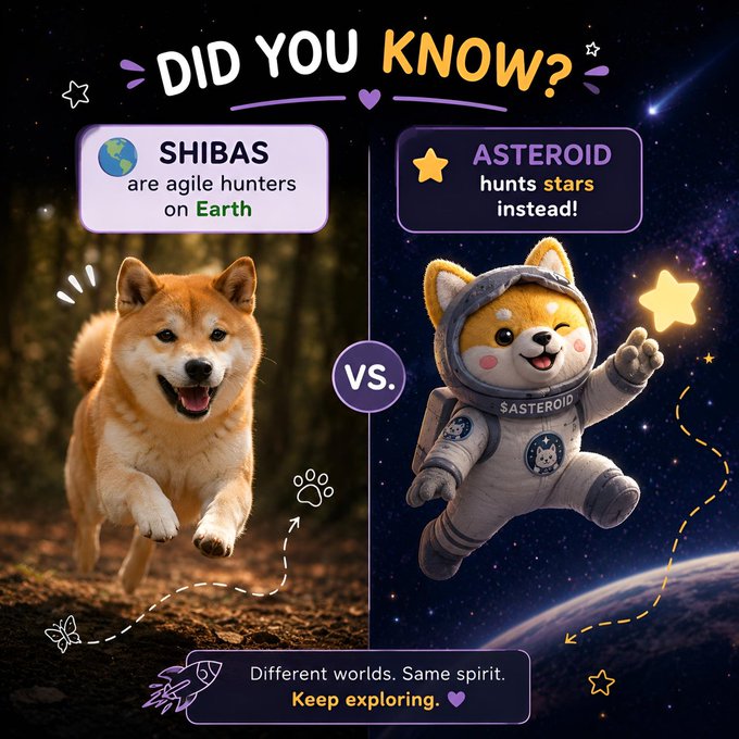 A "Did You Know?" comparison graphic contrasts a running Shiba Inu with a cartoon Shiba astronaut, noting "SHIBAS are agile hunters on Earth" versus "ASTEROID hunts stars instead!" — visually reinforcing the post's message that while Shibas were bred to explore and hunt, the $Asteroid token has taken that mission all the way to space, tied together by the tagline "Different worlds. Same spirit. Keep exploring."