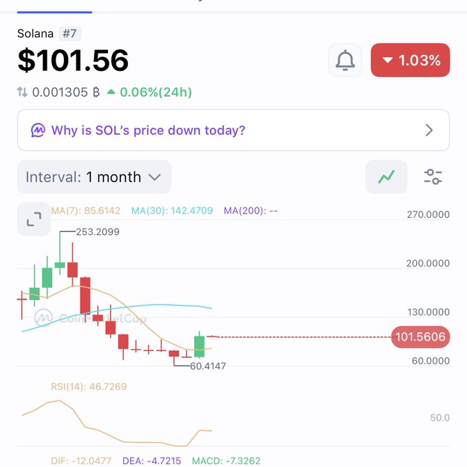 A cryptocurrency price chart for Solana (#7) showing a current price of $101.56 (down 1.03%), with a 1-month interval candlestick chart and various technical indicators including MA and RSI values.