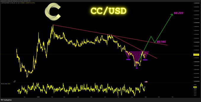 A TradingView chart of the CC/USD cryptocurrency pair shows a falling wedge pattern with a projected breakout, displaying bullish target levels of $0.146 and $0.222, aligning with the post's claim that whales are following this technical setup.