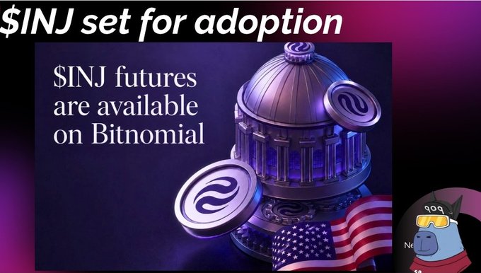 The image features a cartoon character wearing goggles, standing next to an American flag with a coin on top of it. The caption reads "SINJ Set for adoption" followed by "coin set", which suggests that this is a collection or set of coins available for adoption.