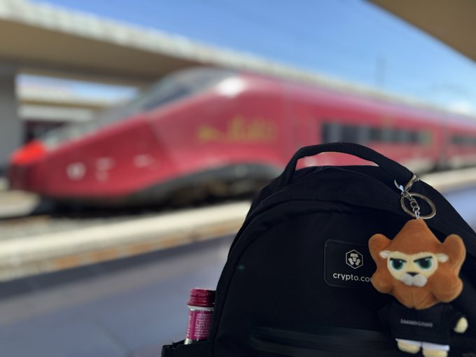The image features a backpack with a toy monkey charm hanging from its handle, sitting on top of a train platform. The background shows a red train passing by under an overpass. The caption reads "Ready to go And you? #LoadedLionsFam #CroFam". This suggests that the backpack's owner is likely preparing for travel or has just arrived at their destination and wants to share their experience with others through social media.

The image also contains a watermark in the bottom right corner, which indicates that it was taken by someone named "Liam" using a smartphone camera.