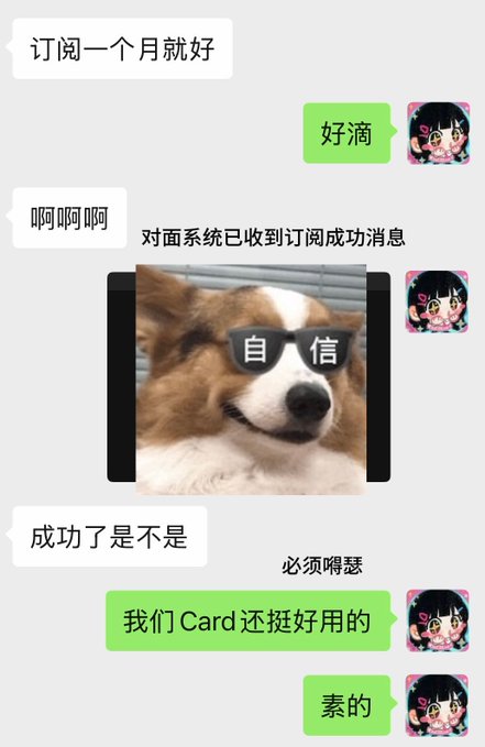 A WeChat conversation screenshot discussing a one-month subscription, featuring a meme image of a Corgi wearing sunglasses with the Chinese characters '自信' (confidence).