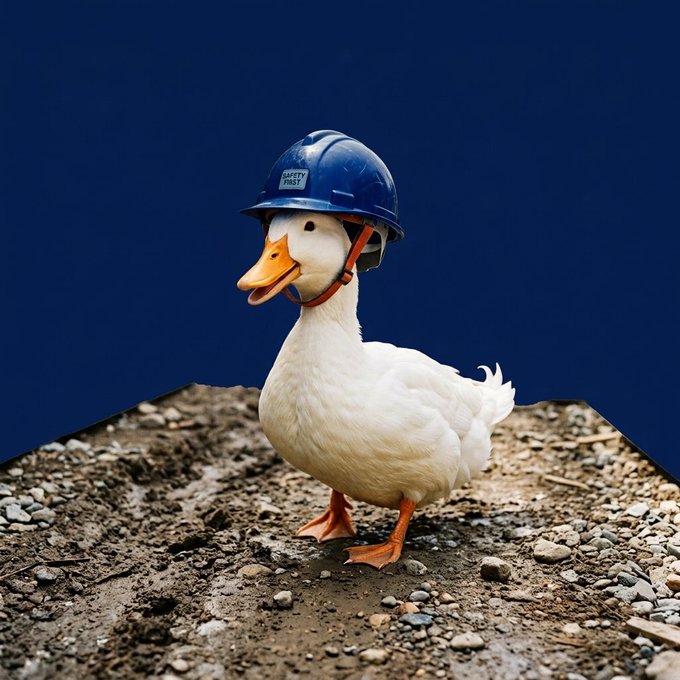 A white duck wearing a blue 'Safety First' hard hat, standing on a patch of dirt and gravel against a dark blue background.