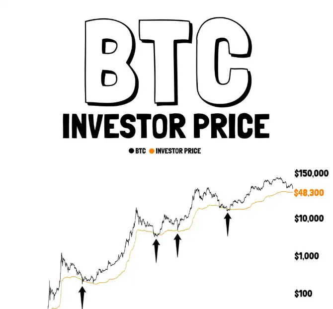 The image shows a chart that represents the Investor Price of Bitcoin over time, with the x-axis being time and the y-axis showing the price value. The data points are represented by small black dots or lines, which illustrate various changes in Bitcoin's value throughout different periods. The visual representation provides insights into how Bitcoin prices have fluctuated and evolved over time, allowing investors to understand market trends and make informed decisions.
