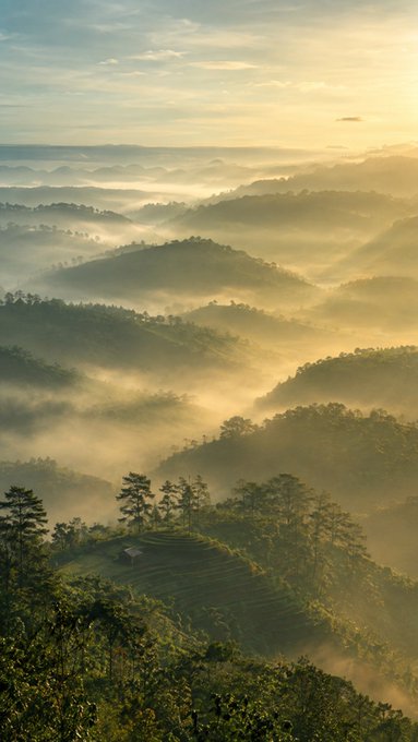 A scenic landscape photograph of mist-covered mountain ranges bathed in golden sunrise light, with silhouetted trees and a small structure on a hilltop in the foreground.