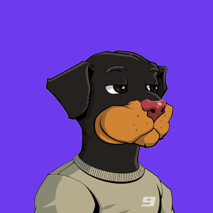 A cartoon illustration of a Rottweiler dog wearing a beige sweater with the number '9' on a purple background.