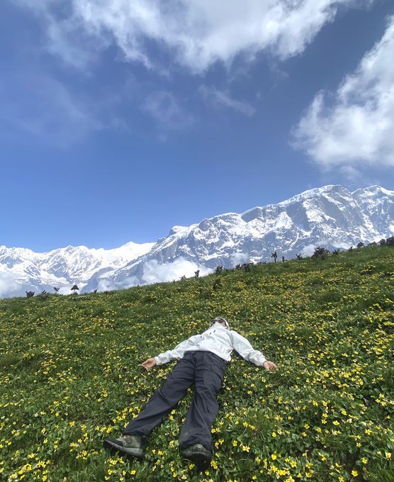 The image features a person lying down in a field of yellow flowers, with mountains visible in the background. The person appears to be enjoying their time outdoors, possibly taking a break from work or simply appreciating nature's beauty. The photo captures the essence of @wallchain, where people share interesting stories and insights about various topics. The image is an example of how individuals can create content that connects with others and contributes to the online community.