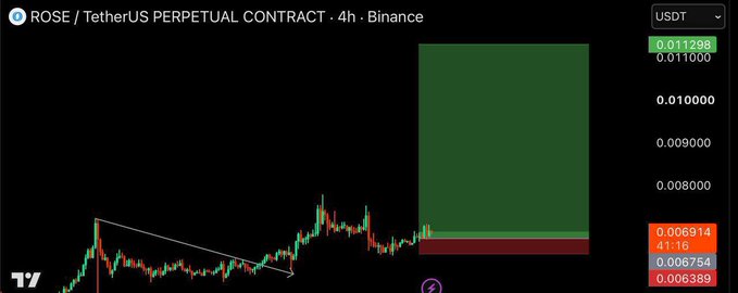 A 4-hour candlestick chart from Binance for the 'ROSE / TetherUS PERPETUAL CONTRACT' shows the token's price history, with a large green and red rectangular zone highlighting a recent price range.