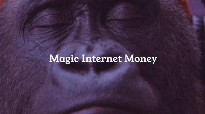 A gorilla's face appears in deep purple lighting with its eyes closed, overlaid with the white serif text "Magic Internet Money." The image serves as a humorous visual shorthand for cryptocurrency hype, which may seem to contrast with the post's serious discussion of Commons—a platform building a "to-earn" developer economy—though both reference the speculative, buzz-driven nature of Web3 incentives.