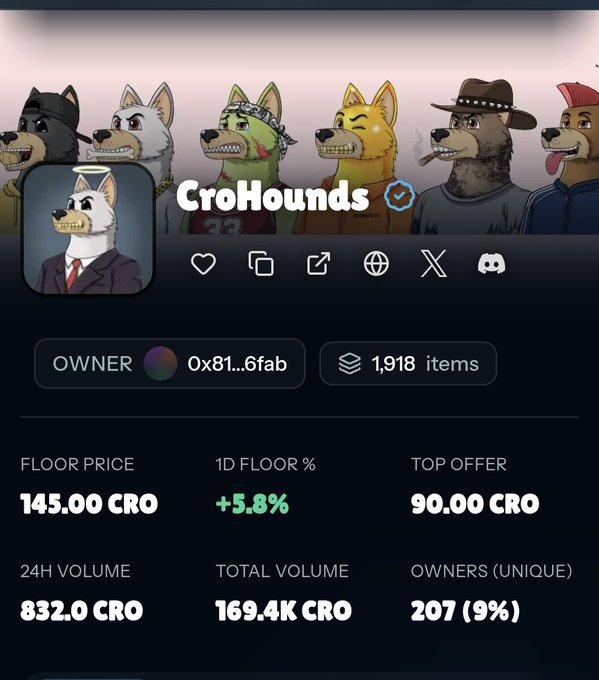 CryptoHounds NFT collection page displaying statistics including floor price of 145.00 CRO, 24H volume of 832.0 CRO, total volume of 169.4K CRO, and 207 unique owners.
