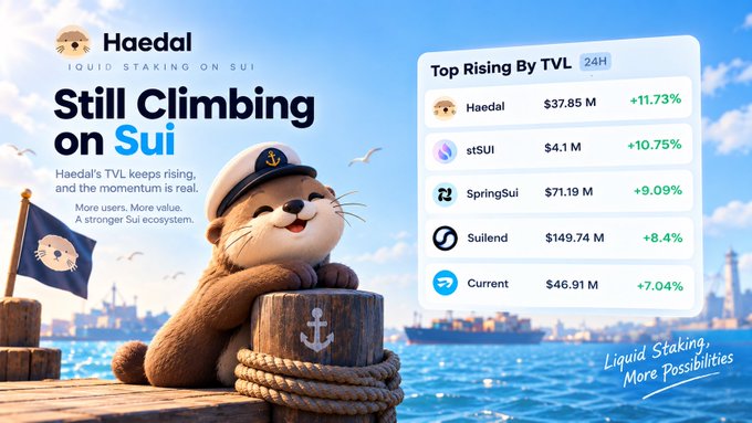 A promotional graphic for Haedal liquid staking on Sui, featuring a cartoon otter wearing a sailor hat, with text 'Still Climbing on Sui' and a 'Top Rising By TVL 24H' list showing Haedal at $37.85M (+11.73%).