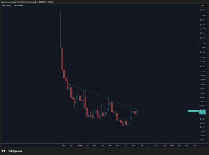 A TradingView weekly candlestick chart for the TURTLEUSDT pair on Binance, showing a downtrend with a descending trendline connecting lower highs.