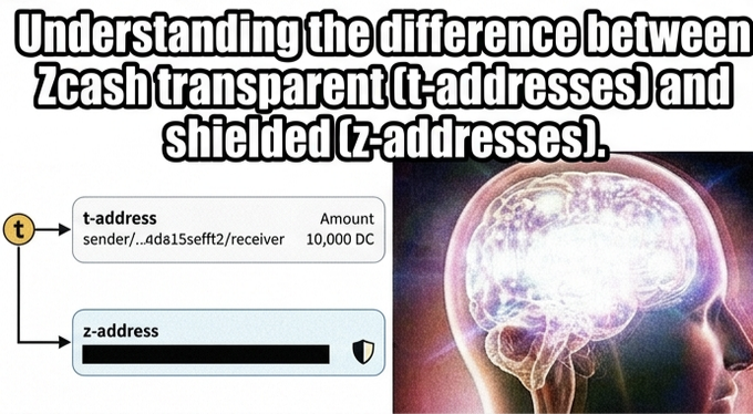 This image shows two brain scans next to each other with a caption about transactions between ZCash and Bitcoin. The first brain scan represents a transaction, while the second brain scan features a more detailed view of the same transaction. The caption provides some information about understanding the differences between these two types of transactions and their characteristics.