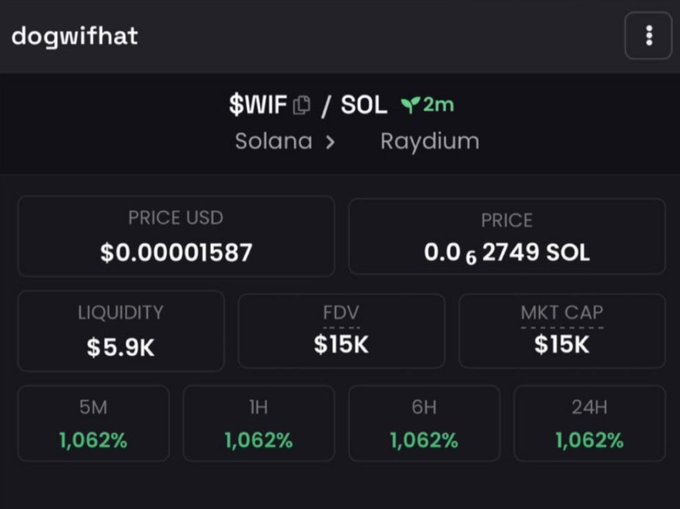 A trading dashboard displays the $WIF/SOL pair on Raydium, showing dogwifhat ($WIF) with a price of $0.00001587, FDV and market cap of $15K, and $5.9K liquidity. The interface shows identical gains of 1,062% across 5M, 1H, 6H, and 24H timeframes, capturing the explosive early launch of the dogwifhat memecoin on Solana that epitomized the memecoin mania of late 2023.