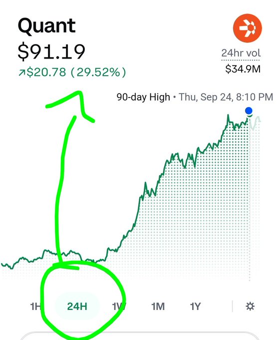 A cryptocurrency price chart for 'Quant' shows a value of $91.19, up $20.78 (29.52%) over 24 hours, with a green hand-drawn arrow circling the '24H' tab and pointing upward.