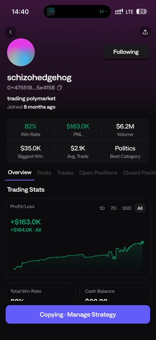 A trading profile page for user 'schizohedgehog' on a Polymarket-style platform, showing 82% win rate, $163.0K PnL, $6.2M volume, and a profit chart with a 'Copying · Manage Strategy' button.