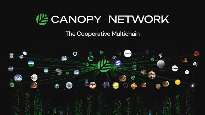A promotional graphic for "Canopy Network – The Cooperative Multichain" displays the brand's green leaf logo at center, radiating green connection lines outward to a scattered network of profile pictures, avatars, and NFT images across a black background. The visual illustrates the post's message about supporting solo Web3 builders, as Canopy's interconnected ecosystem symbolizes the infrastructure (validator setup, staking, node operations, and security) it provides to independent developers who lack a full team.
