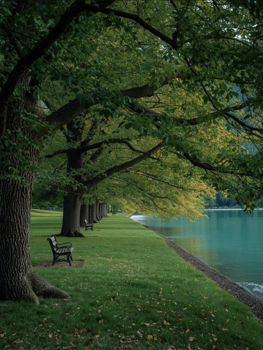A serene photograph of a grassy lakeside path lined with a row of large trees featuring lush green canopies, with empty wooden benches scattered along the shoreline.