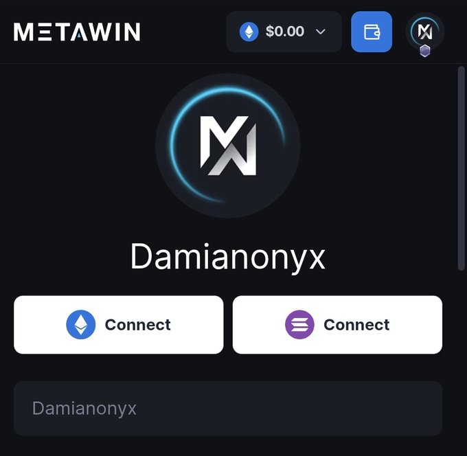 A screenshot of the 'METAWIN' platform login page for user 'Damianonyx', showing two 'Connect' wallet options, a balance of '$0.00', and a stylized 'M' logo.