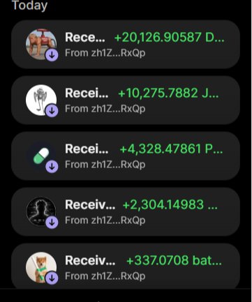 A dark-themed app screen showing 'Today' with multiple received cryptocurrency transactions from 'zh1Z...RxQp' including 20,126.9 DOGE, 10,275.78 J..., 4,328.47 P..., 2,304.14..., and 337.07 bat...