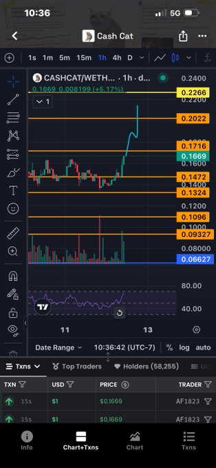 A mobile screen showing a TradingView-style chart for the CASHCAT/WETH pair on a 1-hour timeframe, displaying the current price of 0.1669 with a +5.17% gain and a list of recent transactions below.