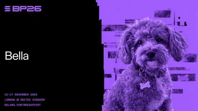A promotional graphic for BP25 Breakpoint event featuring a purple-tinted photo of a dog named Bella, scheduled for 15-17 November 2026 in London, United Kingdom.