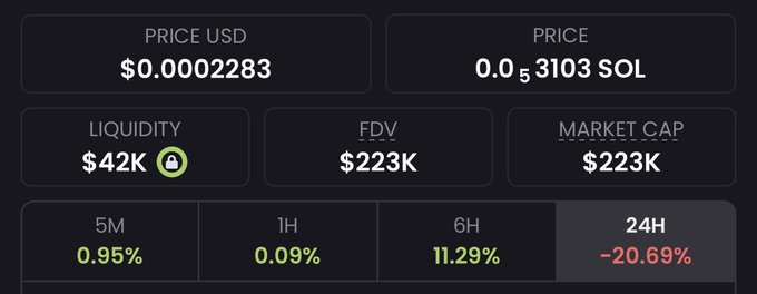The image displays a cryptocurrency's market metrics, showing a price of $0.0002283 USD (0.000003103 SOL), liquidity of $42K (locked), FDV and market cap both at $223K, with notable price changes of 0.95% (5M), 0.09% (1H), 11.29% (6H), and -20.69% (24H). The low FDV and market cap relative to typical coins, combined with the post's hint about it being "extremely undervalued," suggest this is a small-cap Solana token likely presented as a hidden gem opportunity.