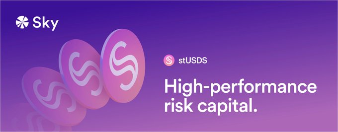 A purple promotional banner for Sky featuring the 'stUSDS' token with the tagline 'High-performance risk capital.'