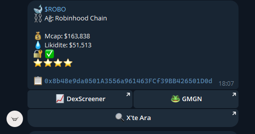 A crypto token info card showing '$ROBO - Robinhood Chain' with market cap of $163,838, liquidity of $51,513, a 5-star rating, contract address, and links to DexScreener, GMGN, and X'te Ara.