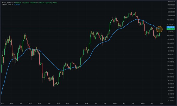 A candlestick chart displays the weekly price movement of Bitcoin (BTC/USD), showing a decline from a high near $124,000 to the $77,360 level, marked with a moving average line.