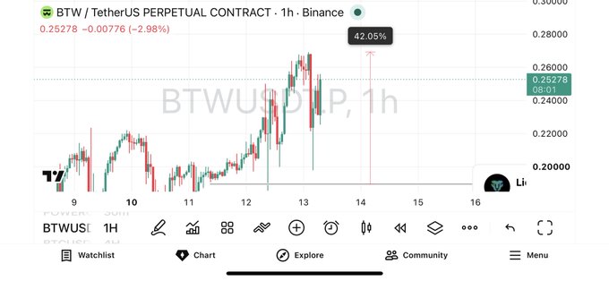 Trading chart for BTW/USDT Perpetual Contract on Binance showing a 1-hour price movement with a current value of 0.25278, down 2.98%, and a 42.05% gain indicator.