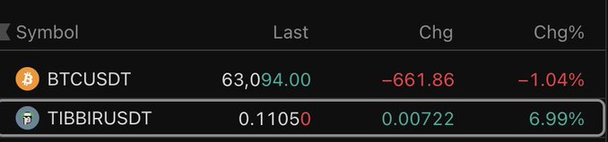 A trading dashboard shows BTCUSDT down 1.04% at $63,094.00 while TIBBIRUSDT surges 6.99% to $0.1105, highlighting the meme token TIBBIR's strong upward momentum referenced in the bullish "Position accordingly!" callout.