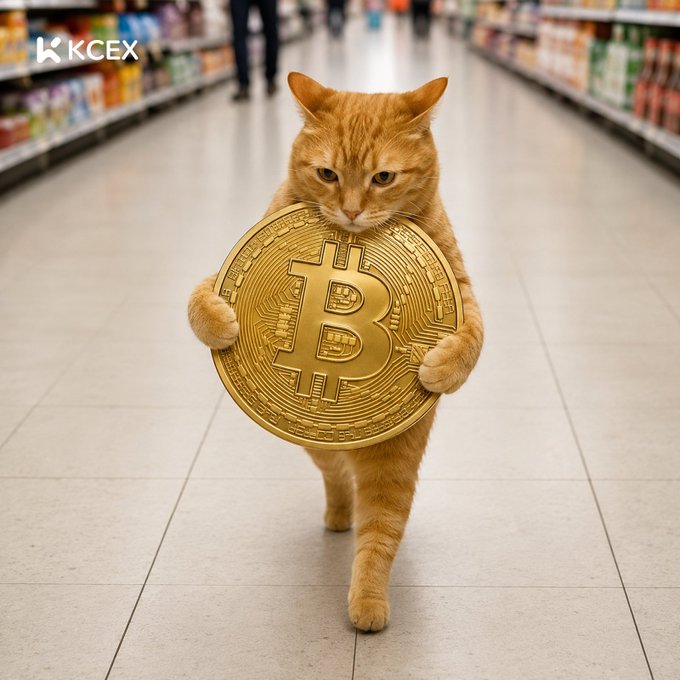 An orange tabby cat walking through a grocery store aisle while holding a large golden Bitcoin coin in its paws, with a KCEX logo in the corner.