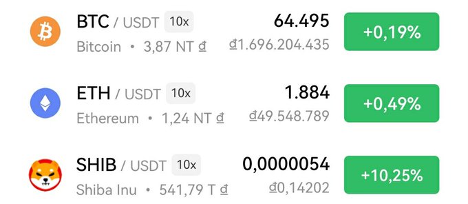 A cryptocurrency price list showing BTC/USDT at 64,495 (+0,19%), ETH/USDT at 1.884 (+0,49%), and SHIB/USDT at 0,0000054 (+10,25%), displayed in Vietnamese Dong.